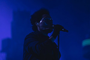 xo on Spotify