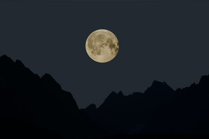 moonzzh