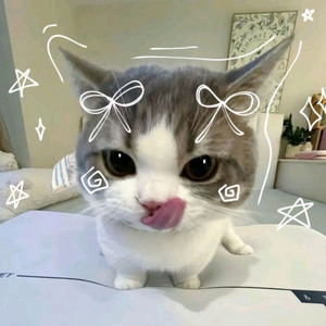 Shirito