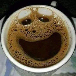 paranoidzkisoid