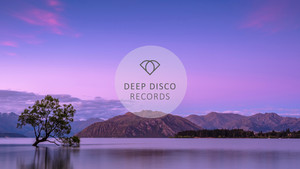 Deep Disco Records