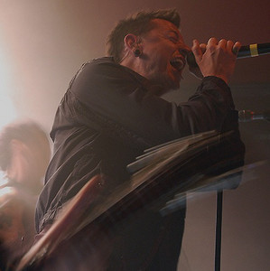 chesterrbee