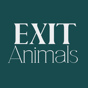 EXIT Animals | Spotify