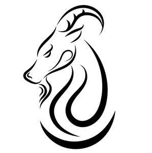 Capricorn Music