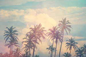 Ibiza Chill Out Classics