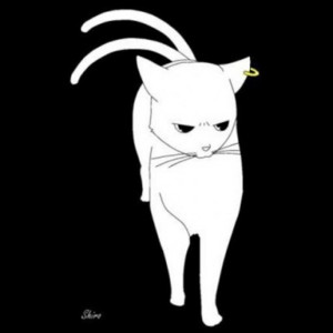 秘境のマーメイド - playlist by shiroemons | Spotify