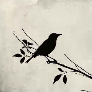 Nightingale