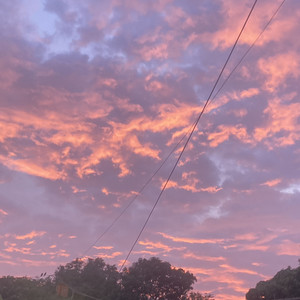 Navoditasundriyal