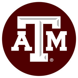 Spotify profile picture for @tamu