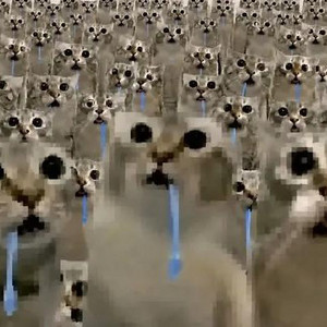 2bzb3ingm3