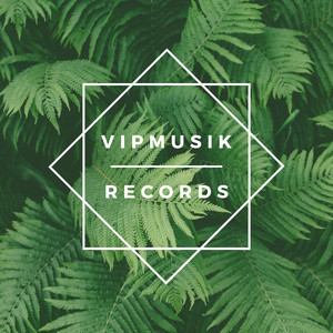 VipmusikRecords
