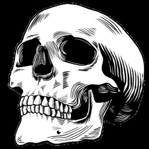 Spotify profile picture for @horebes