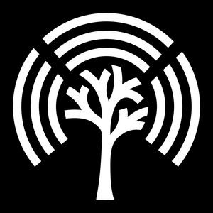 stream by stream
