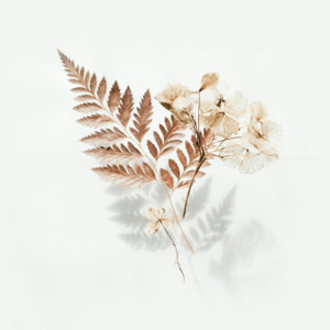 Hillside Playlists