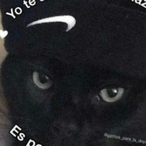 Spotify profile picture for @scott