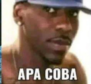 chachingalaska
