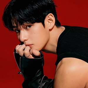 2014 BTS Live Trilogy: Episode II. The Red Bullet - playlist by