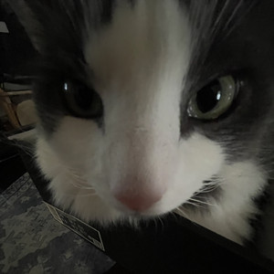 Jordan!