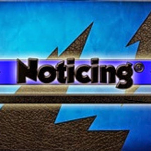 Spotify profile picture for @noticing