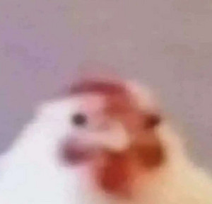 chicken i got my red dress on tonight Im in My Red Dress Tonight Chicken