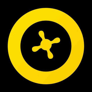 Spin