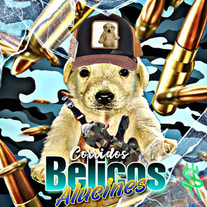 Belicos Y Alucines 🧿📿🔥