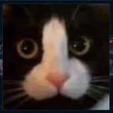 Sam