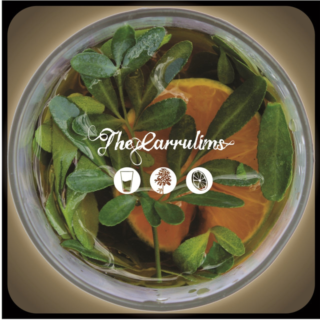 Resultado de imagen para the carrulims spotify