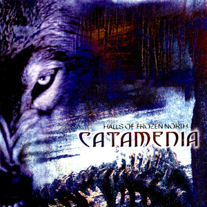 Dreams of Winterland cover