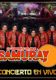 Samuray profile