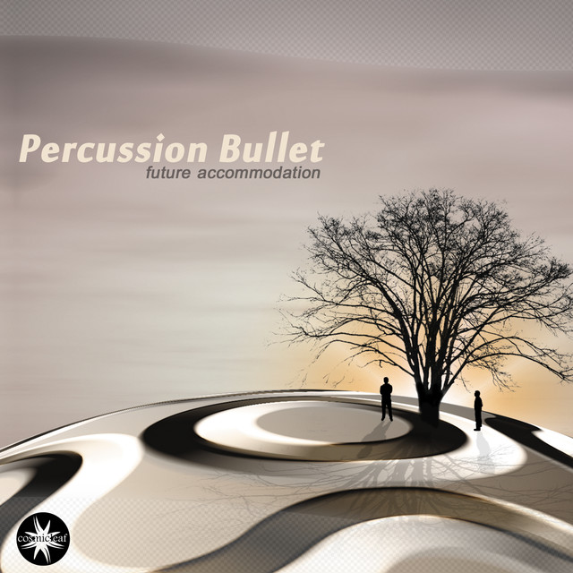Percussion Bullet Photo