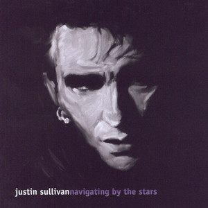 Navigating by the Stars cover