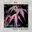 Kaleidoscopes – Spring Rain Albumcover