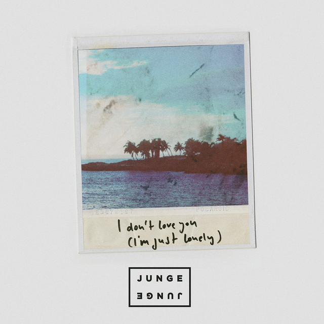 Musik Album 'I Don't Love You (I'm Just Lonely)'