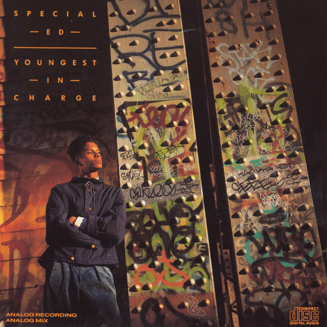 Youngest In Charge cover