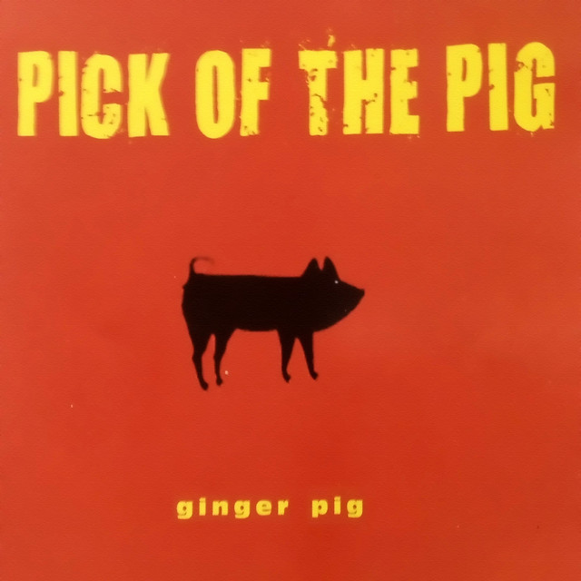 Gingerpig Photo