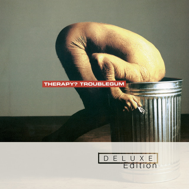 Troublegum cover