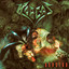 Asesino cover