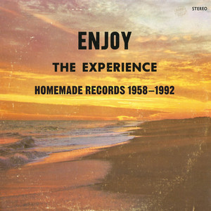 Enjoy the Experience : Homemade Records 1958-2004 cover