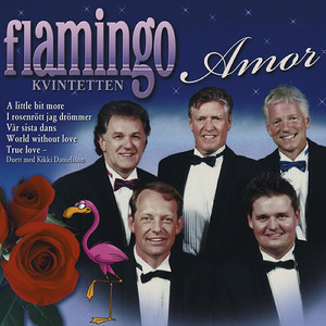 Amor album