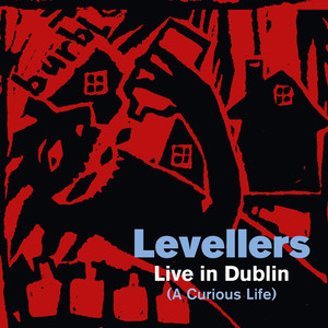 A Curious Life (Live in Dublin) (The Acoustic Album) album
