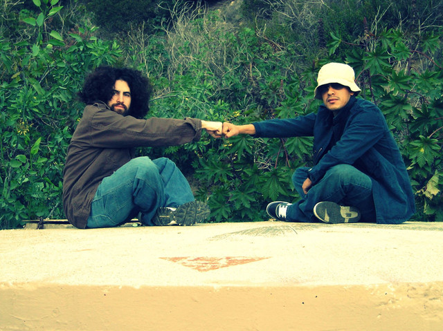 The Smoking Trees Photo