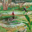 Distant Light cover