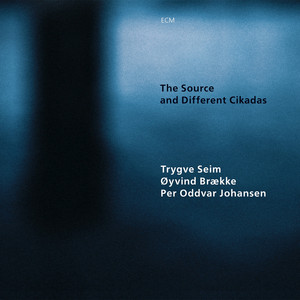 The Source and Different Cikadas cover