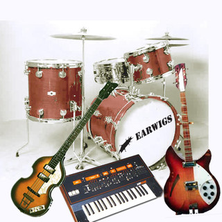 The Earwigs Photo
