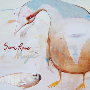 Magic cover