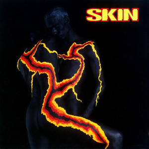 Skin cover
