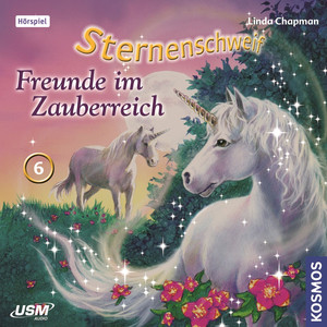 Teil 6: Freunde im Zauberreich Audiobook