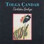 Türküden Şarkıya Albumcover