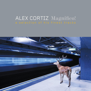 Magnifico! cover